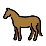 Ponys für’s Sommerfest